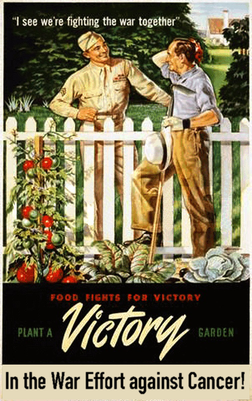 Victory Garden 11