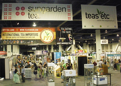 The_Expo_Area
