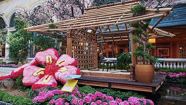bellagio entertainment conservatory japanese spring tea house.jpg.image.1920.1080.high