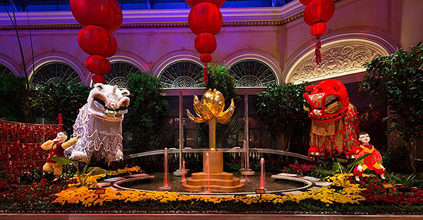 bellagio conservatory lunar new year north bed low