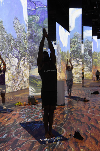 Immersive Van Gogh Yoga 3 Chippendale ChaunWilliams a