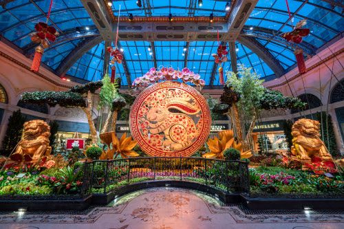 Bellagio Conservatory Lunar New Year 2023 West Bed 