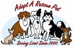 Adopt a Rescue Pet