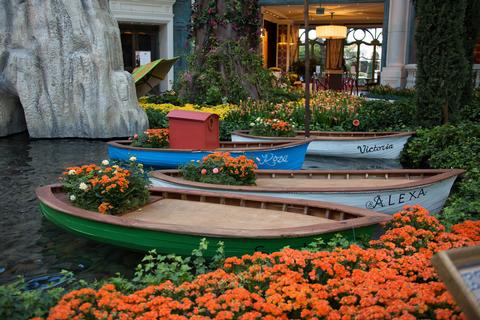Photo courtesy of the Bellagio Conservatory and Botanical Gardens