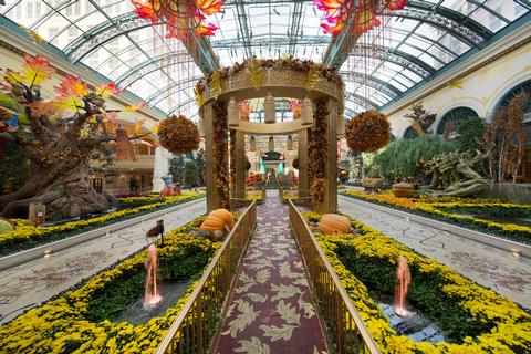 Bellagio Conservatory Harvest 2017 3 low
