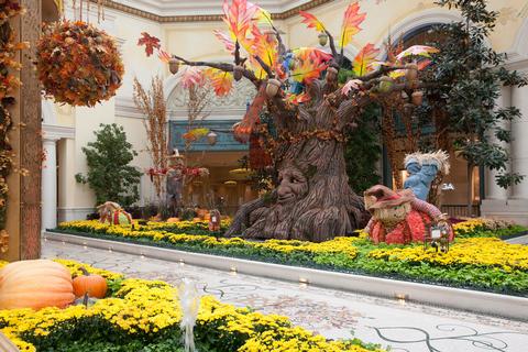 Bellagio Conservatory Harvest 2017 4 low