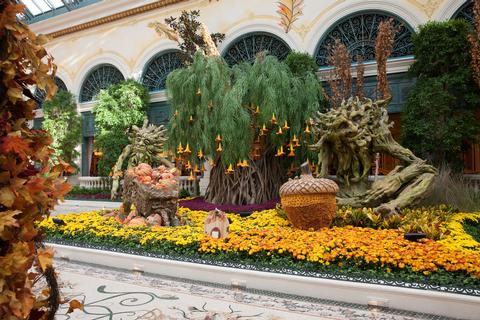 Bellagio Conservatory Harvest 2017 5 low