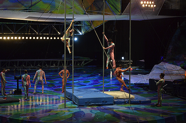 Mystere 1228