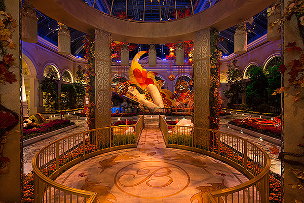 Bellagio Conservatory Fall Display East Garden