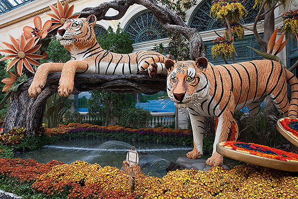 Bellagio Conservatory Fall Display North Garden