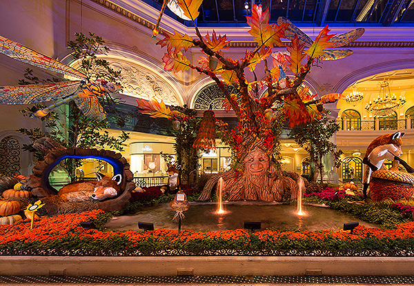 Bellagio Fall Display South Garden