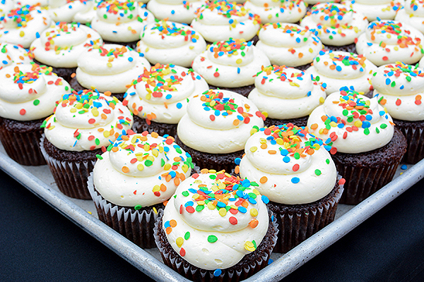 Freeds Signature Chocolate Cupcakes