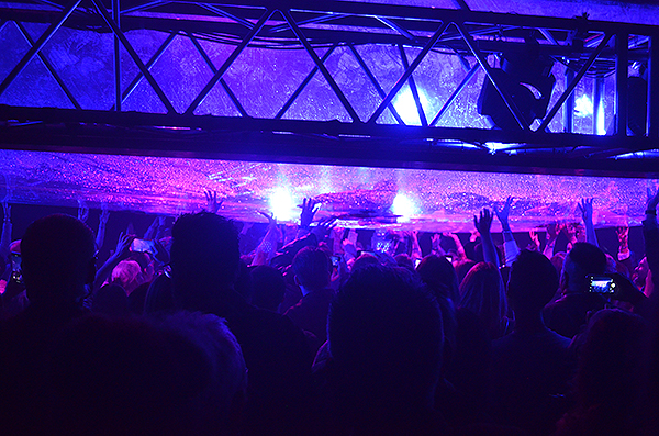 Fuerza Bruta 5569