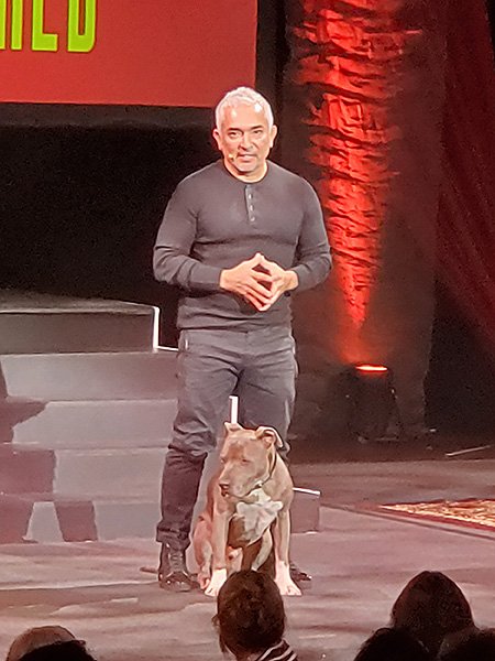 Caesar Millan