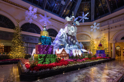 bellagio conservatory winter 2021 north bed 1 low a