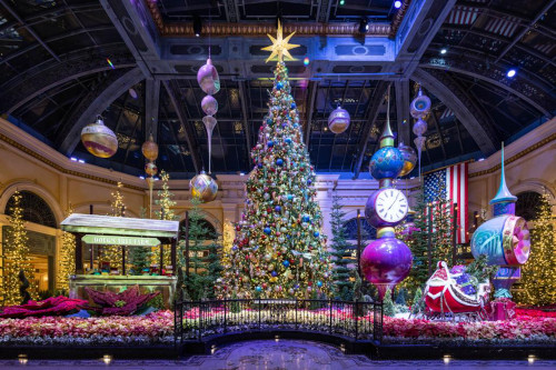 bellagio conservatory winter 2021 west bed 01 low a