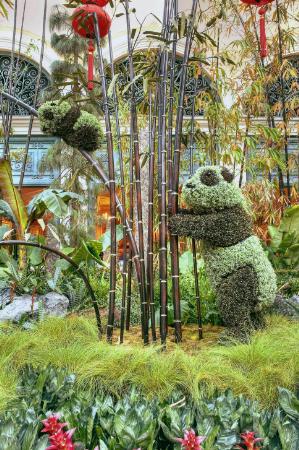 bellagioconservatory-chinesenewyear2009-pandasvertical
