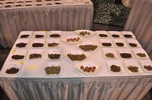 World_Tea_Expo_880