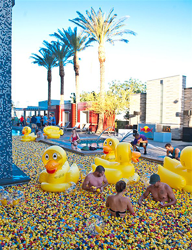 Palms_Duck_Party_1