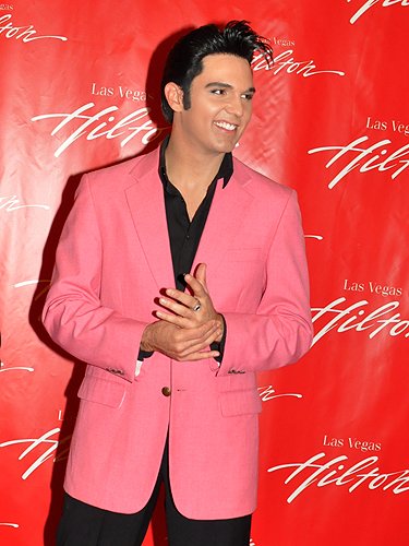 Elvis_2011_10038