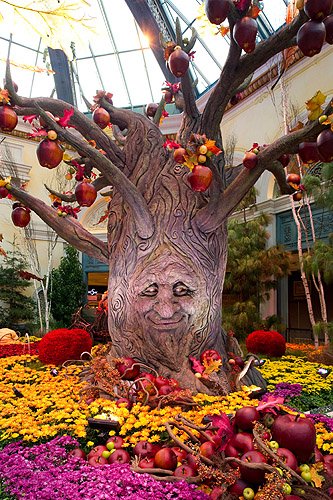 BellagioConservatoryFall2011-TalkingTree-Vertical