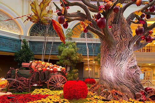 BellagioConservatoryFall2011-WagonandTalkingTree