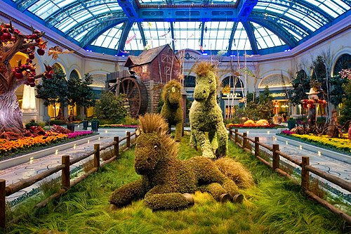 BellagioConservatoryFall2011-Wideshot