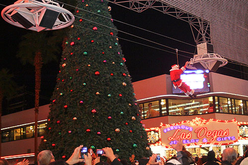 04_FSE_Tree_Lighting5446_copy