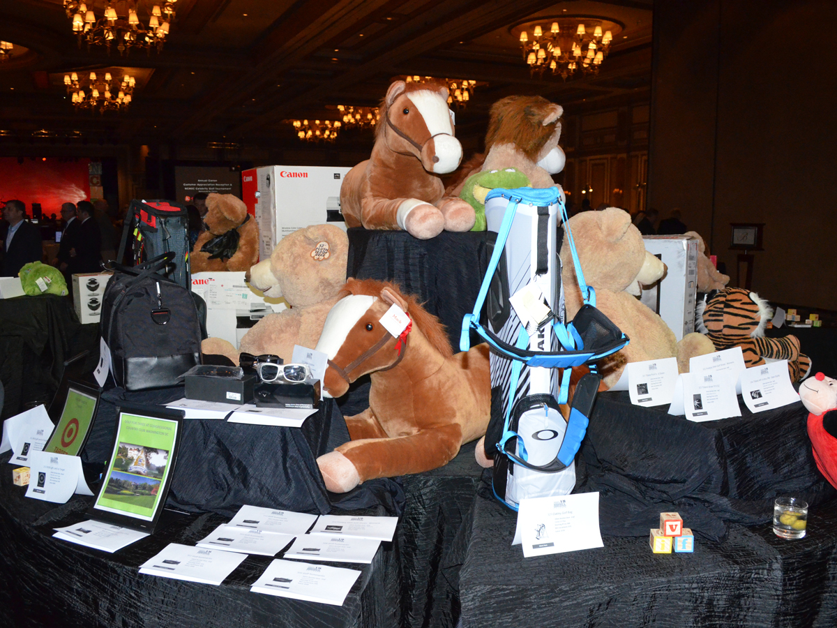 Auction items - Canon NCMEC 2015 65014