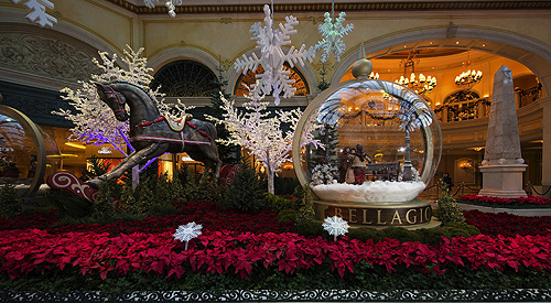 Conservatory - Holiday 2015 - South Bed